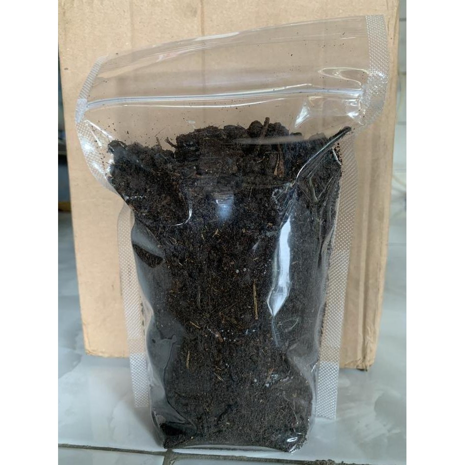 

Terlaris Pupuk Kandang Kambing