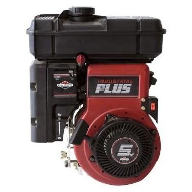 Engine Briggs & Stratton IP 5