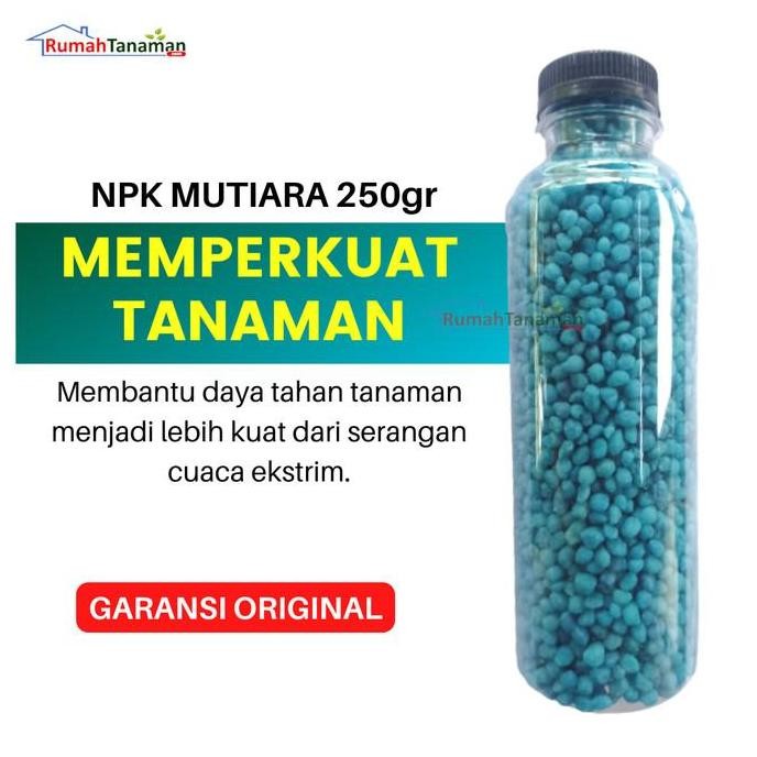 

Terlaris Pupuk Npk Mutiara - Pupuk Tanaman