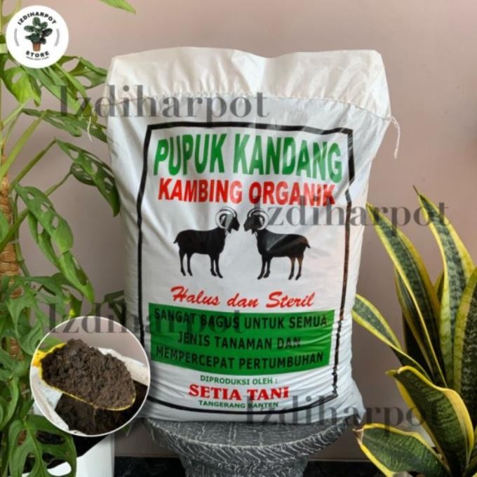 

Terlaris Pupuk Kandang Kambing Organik Halus Dan Steril Mempercepat Pertumbuhan - Kambing Steril