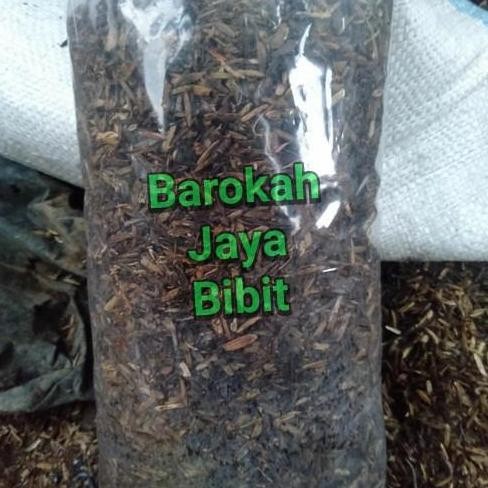 

Terlaris Media Tanam Sekam Campur Tanah Dan Pupuk Kandang Kemasan 1Kg