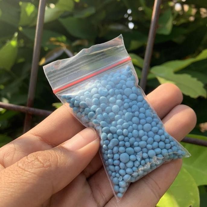 

Terlaris Pupuk Npk Mutiara 16 16 16 Nutrisi Pertumbuhan Dan Penyubur Tanaman