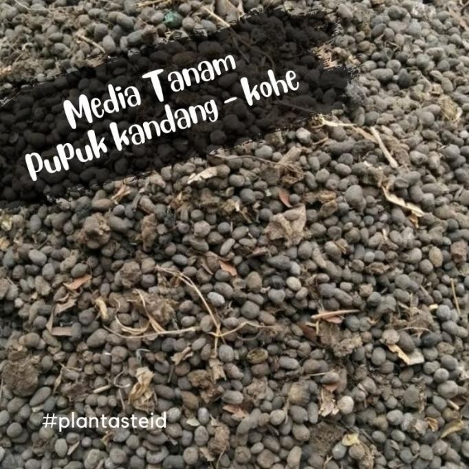 

Terlaris Media Tanam | Pupuk Kandang Organik Kohe Kambing Steril Kofqvp 6119Zs
