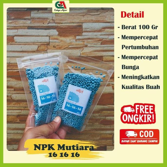 

Terlaris Npk Mutiara 100 Gram