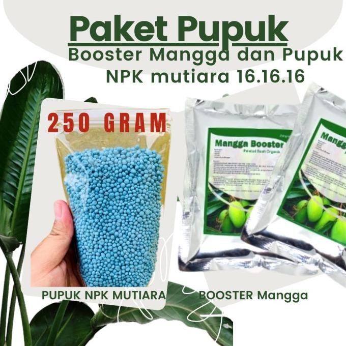 

Terlaris Paket Lengkap Pupuk Booster Buah Pohon Mangga Plus Pupuk Npk Mutiara