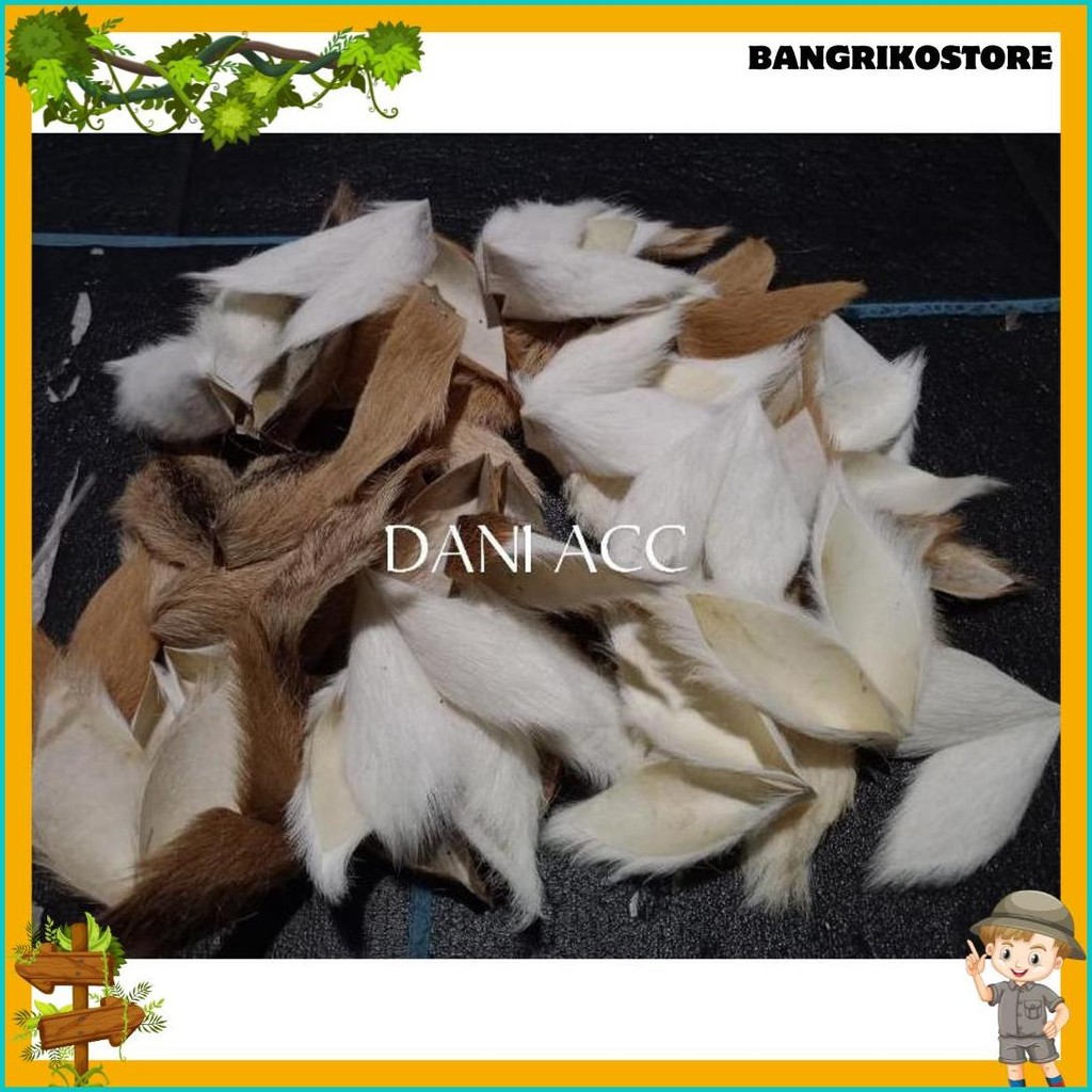 Kuping Jaran Kepang Kulit Kambing Asli Temanggung Diskon Setengah Harga