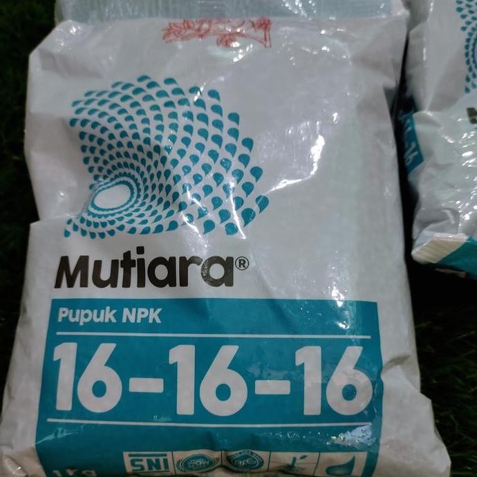 

Terlaris Pupuk Npk Mutiara