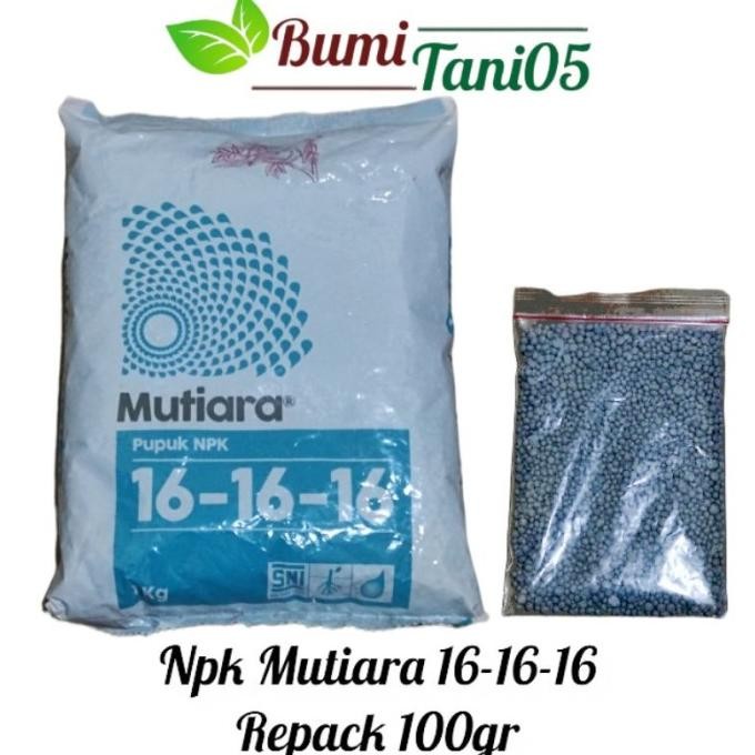 

Terlaris Pupuk Npk Mutiara 16-16-16 Meroke Kemasan Repack 100Gr