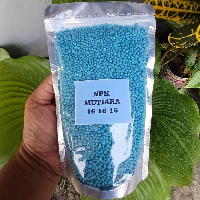 

Terlaris Pupuk Npk Mutiara 16 16 16 Repack 500 Gram