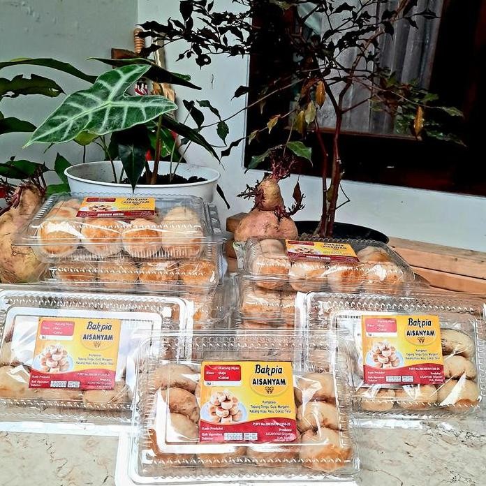 

Terlaris Bakpia Kacang Hijau Aisanyam Murah Dan Enak