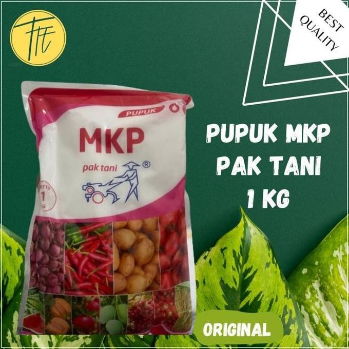 

Terlaris Pupuk Pembuahan Mkp Pak Tani 1 Kg Original Bunga Strawberry Kno3 Putih Pupuk Buah Buahan Cepat Berbuah Pupuk Npk Media Tanam Tanaman Green Kalium