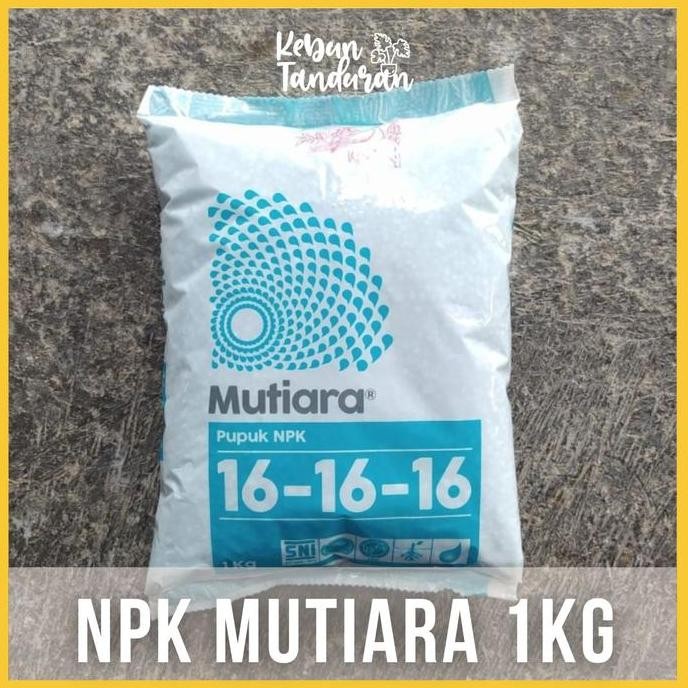 

Terlaris Pupuk Npk Mutiara 16-16-16 Asli Meroke Kemasan Pabrik 1 Kg