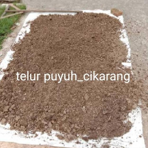 

Terlaris 1Kg Pupuk Kandang Kotoran Puyuh Murni