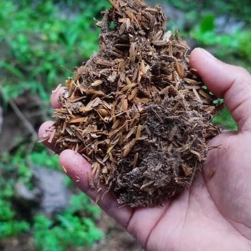 

Terlaris Pupuk Kandang Kohe Ayam Ukuran 500 Gr