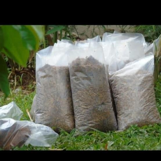 

Terlaris Pupuk Kandang Asli Murni Kotoran Ayam