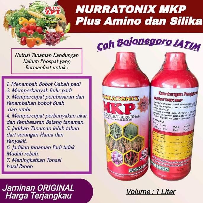 

Terlaris Pupuk Nurratonix Mkp 1 Liter Plus Silika Amino Dan Ga5 Untuk Pembesaran Batang, Popor Bawang Merah, Dan Rendemen Gabah Padi - Kalium