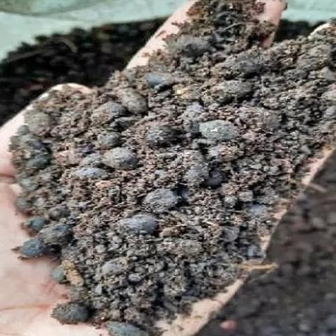 

Terlaris Pupuk Kandang Kambing