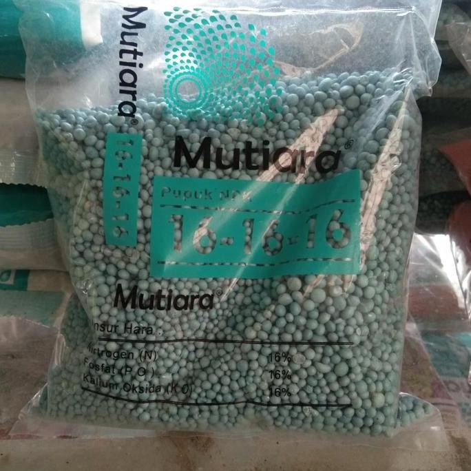 

Terlaris Tanaman Hias Pupuk Npk Mutiara