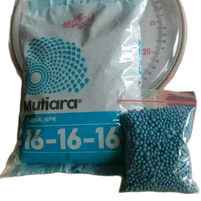 

Terlaris Pupuk Npk Mutiara 16-16-16 | Kemasan Repack 200Gram Tanaman Penyubur