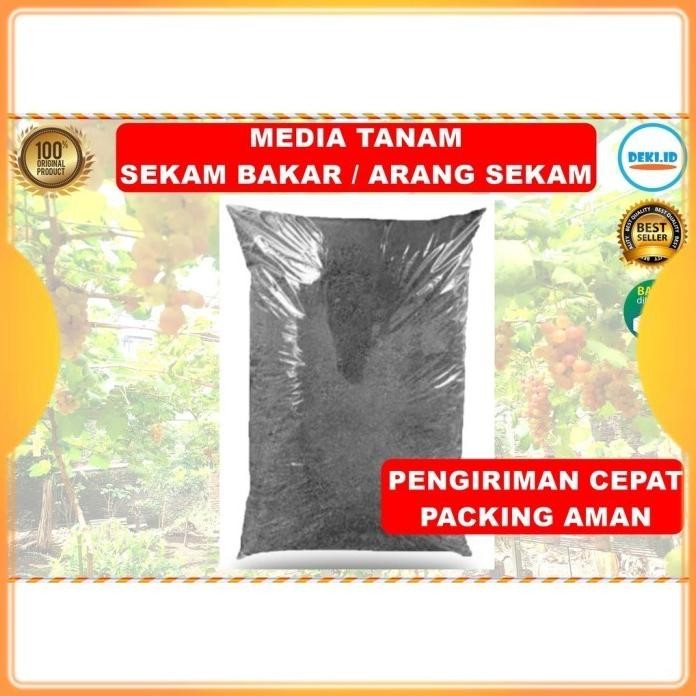 

Terlaris Media Tanam Sekam Bakar 500 Gr Arang Padi