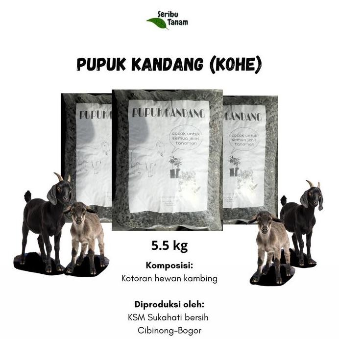 

Terlaris Pupuk Kandang Kambing Kohe Siap Pakai