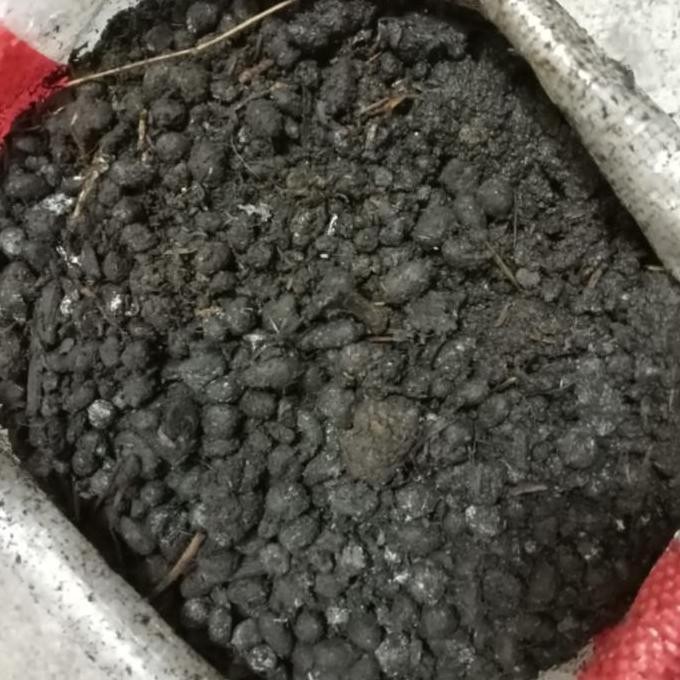 

Terlaris Kohe Kambing Kasar Organik/Pupuk Kandang Kambing Organik