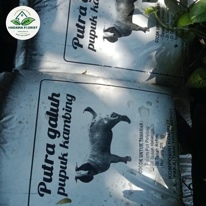 

Terlaris Pupuk Kandang Pupuk Kambinh Media Tanam