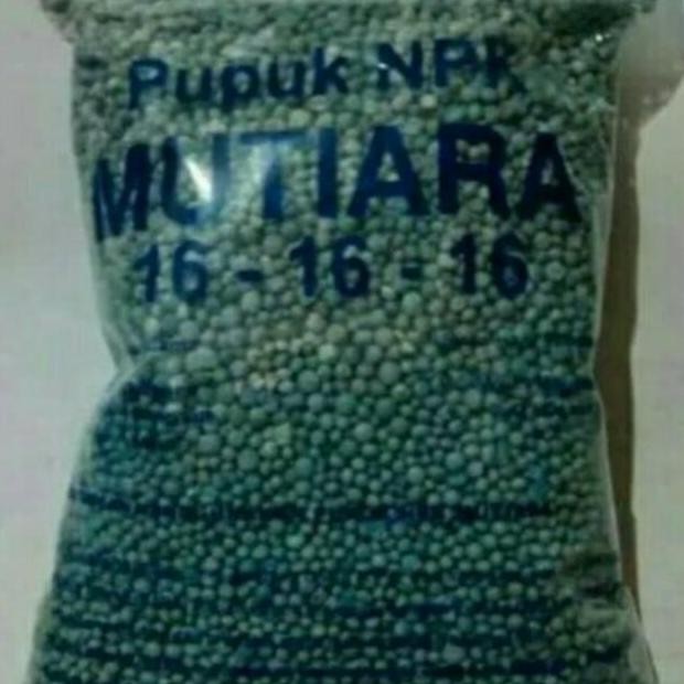 

Terlaris Pupuk Npk Mutiara - Pupuk Penyubur Akar Tanaman - Pupuk Zat Buah Dan B