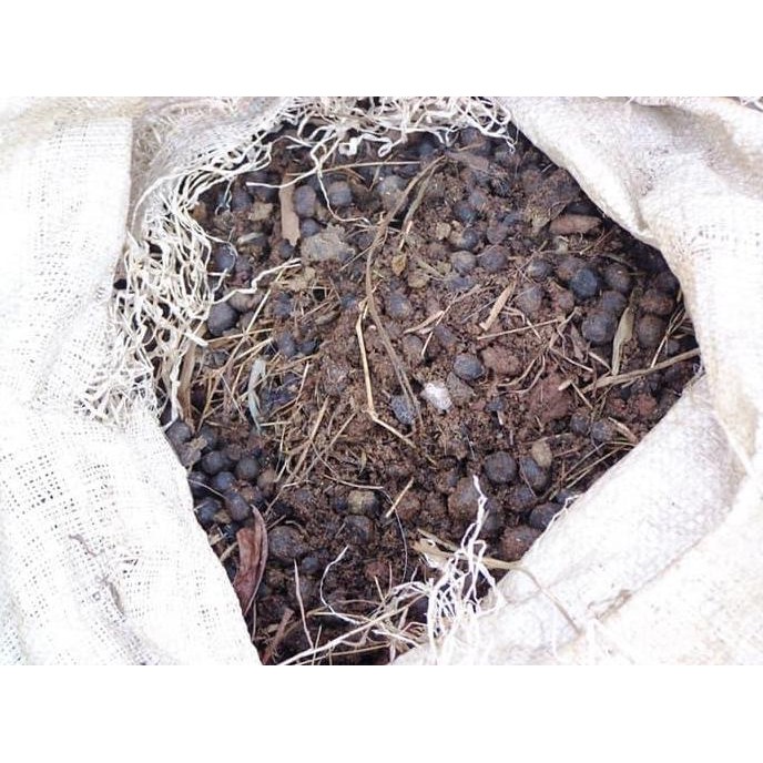 

Terlaris Pupuk Kandang Kotoran Kambing 1 Kg Pupuk Kasar Pupuk Tanaman