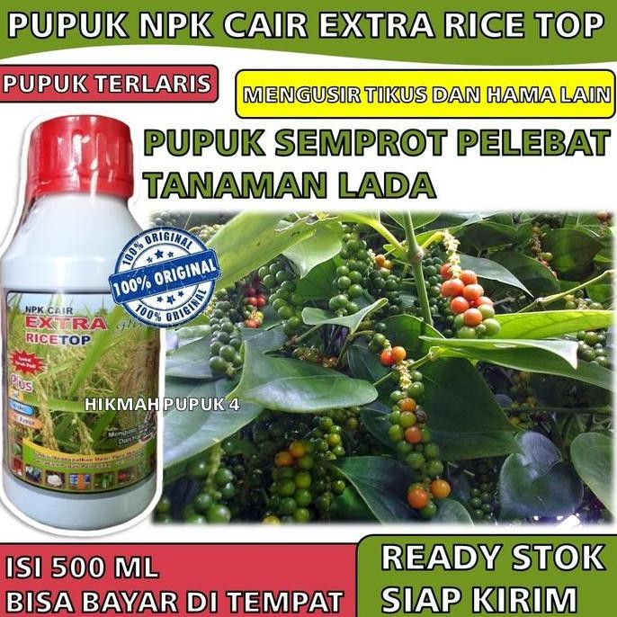 

Terlaris Pupuk Npk Cair Extra Ricetop 500 Ml Pupuk Semprot Pelebat Tanaman Lada - Pupuk Perangsang Pada Tanaman Lada - Obat Penyubur Tanaman Lada Paling Bagus Merangsang Batang, Akar Dan Buah Biar Cepat Lebat Hasil Panen Berlipat Daun Green
