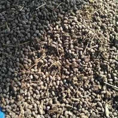 

Terlaris Pupuk Kandang Kambing Kasar/Pupuk Kasar Unggulan