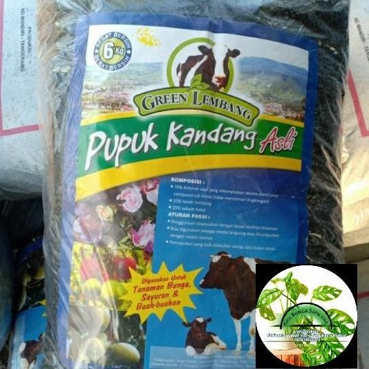 

Terlaris Pupuk Kandang Sapi Green Lembang Kemasan 6Kg