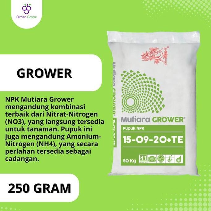 

Terlaris Npk Mutiara Grower 15-09-20+Te Reepack 250 Gram / Npk Grower