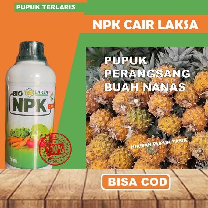 

Terlaris Pupuk Npk Nanas Memperbanyak Buah Dan Memperbesar Pertumbuhan Nanas Paling Laris Obat Cair Npk Untuk Buah Nanas