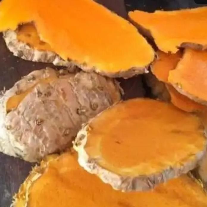 

Terlaris Bibit Pohon Temulawak Herbal/Curcuma