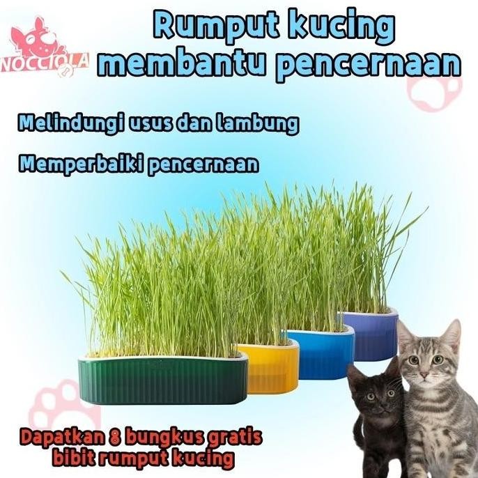 

Terlaris Kit Penanaman Benih Rumput Kucing Rumput Gandum Kualitas Tinggi Rumput Kucing Dilengkapi Dengan 8 Paket Benih Rumput Multipak Natural D3V!!