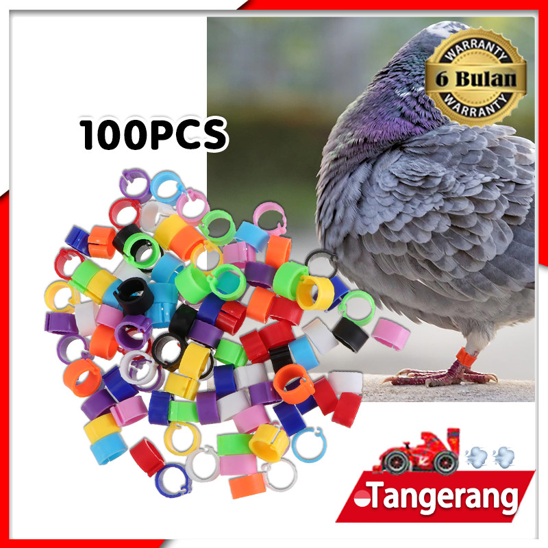 100pcs/Bag Ring Jepit Merpati 8mm Ring Dewasa Merpati Random Pilihan 10 Warna