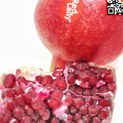 

BUAH DELIMA MERAH INDIA SPANYOL AMERIKA CHINA BIJI EMPUK TERMURAH