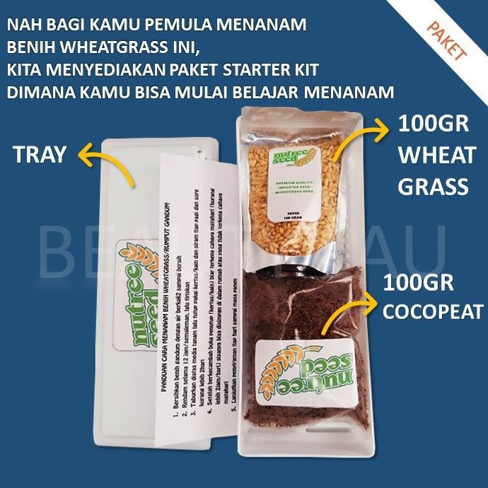 

Terlaris Terlaris Grosir Benih Wheatgrass 1Kg Bibit Rumput Gandum Kucing Microgreen Seed Tbk