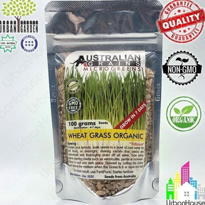 

Terlaris Ankn Benih Wheat Berries Wheat Grass Organic Import Rumput Gandum Organik