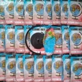 ready stock Mainan Globe Edukasi Geografis Anak - Bola Dunia Peta Dunia Globe