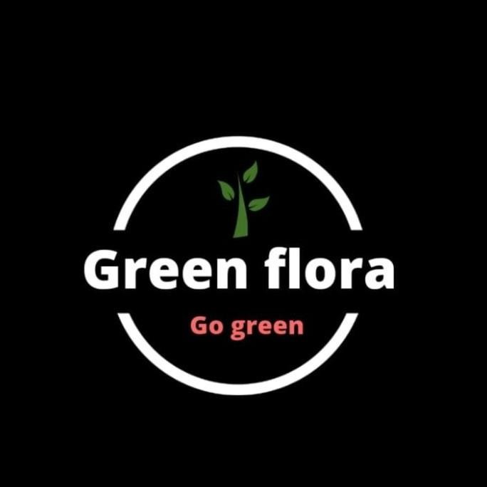 PREMIUM bibit pohon jengkol-pohon buah jengkol-tanaman jengkol HOKyy GENJAH