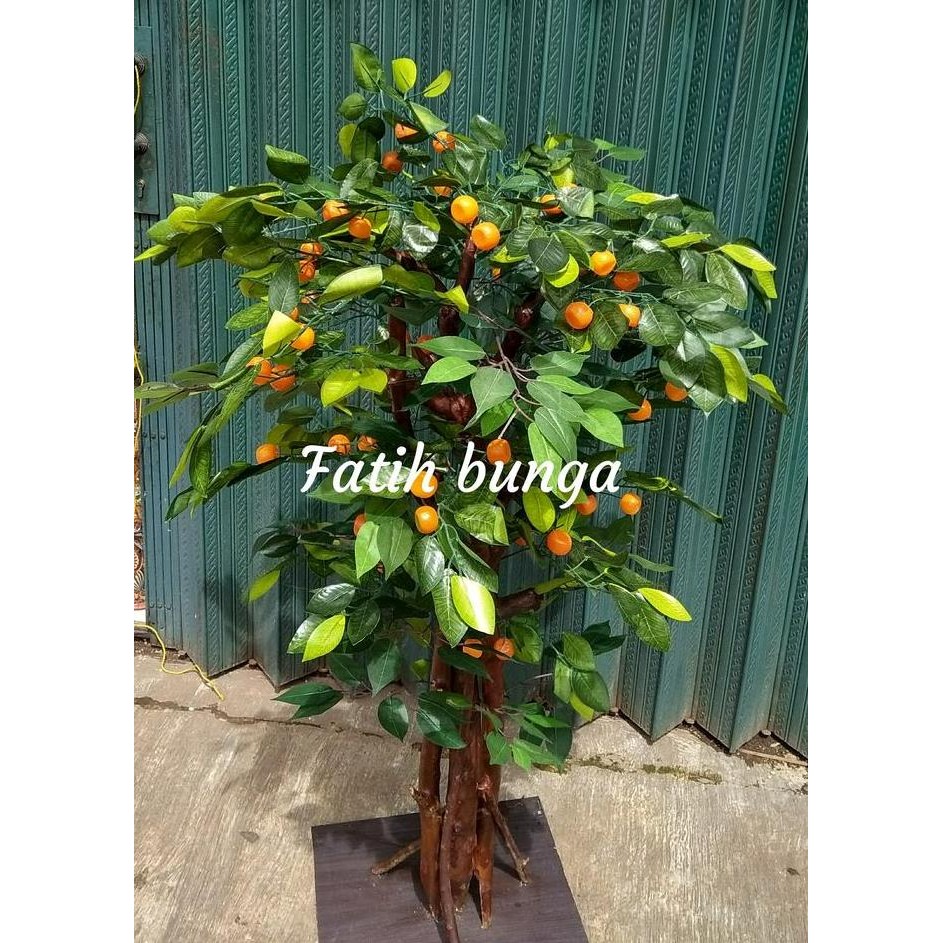 Pohon Jeruk/Pohon Hias/Pohon Plastik Co