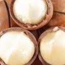 

Macadaa Ulit Roated Gram Acang Yang Ngeelin Free Alat Pembuanya