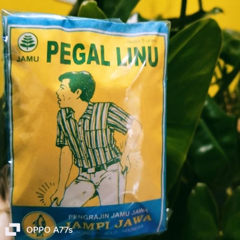 JAMU PEGEL LINU ASAM URAT JAWA SERBUK