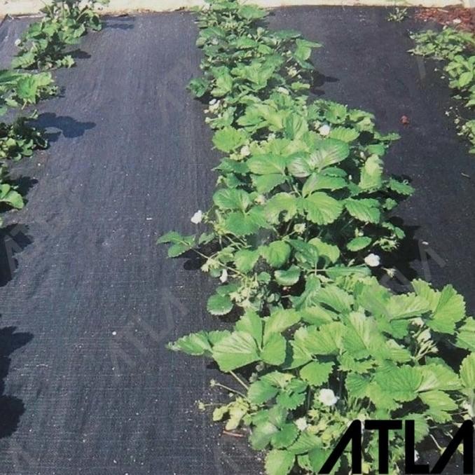 """] Mulsa Weedmat Hitam 4 Meter 1 Roll Cover Ground Plastik Terpal Penutup Tanaman Rumput Weed Mat 