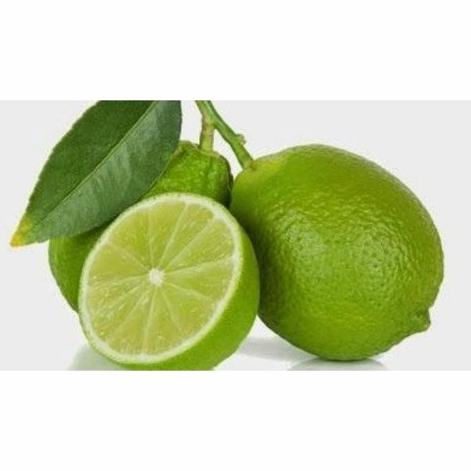 

Terlaris Bibit Benih Biji Buah Jeruk Nipis - Biji Tanaman Buah Jeruk Nipis