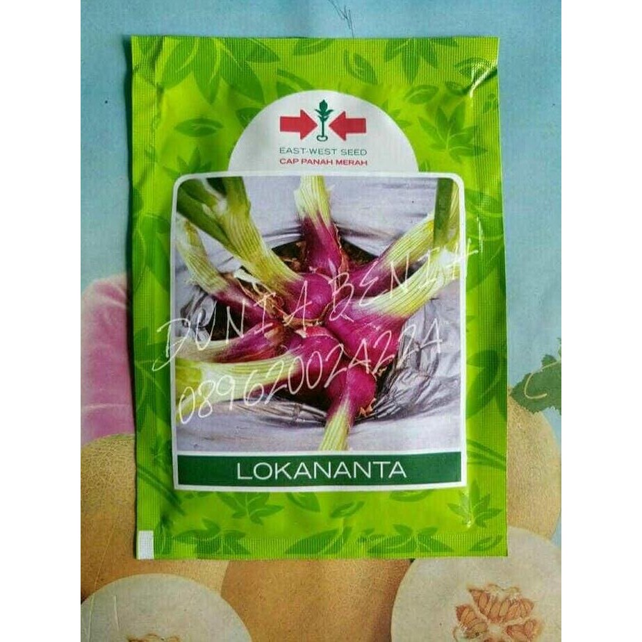 

Terlaris Benih/Bibit Bawang Merah Lokananta
