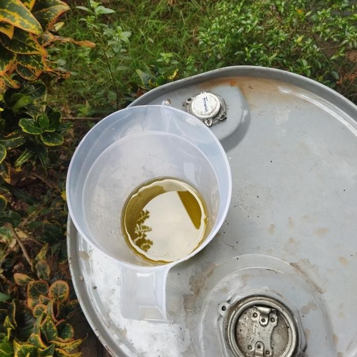 

Terlaris Bibit Jeruk Nipis/Orange /Sunkis