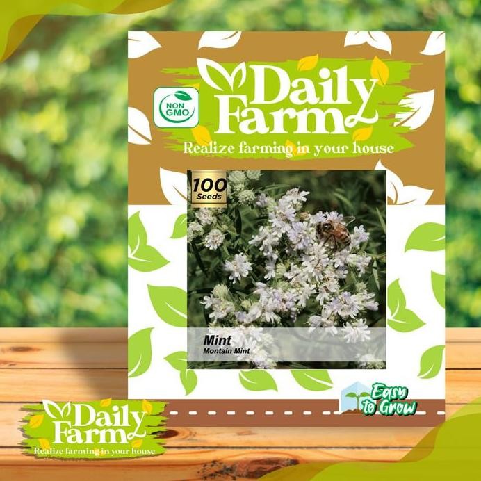 

Terlaris Benih Bibit Mint Mountain Mint - Bibit Daun Mint Seed